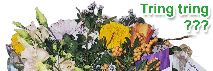 Blog-900x300-TringTring