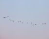 airborne renkum 20092024  mg